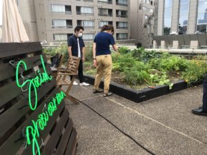 屋上菜園